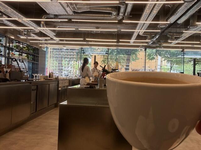 IMG_5266.jpeg